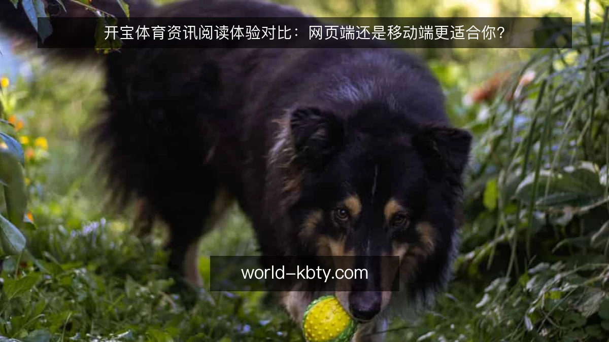 开宝体育资讯阅读体验对比:网页端还是移动端更适合你?
